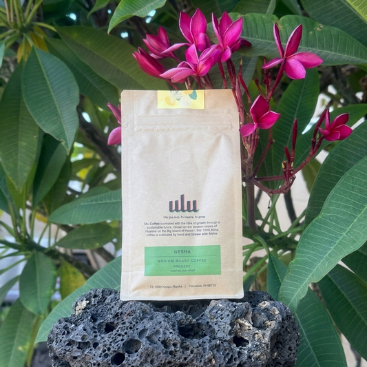 100% Kona Gesha- Single Estate