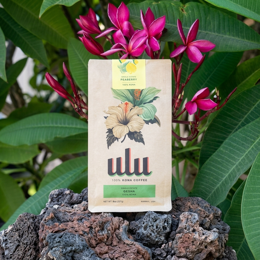 100% Kona Gesha- Single Estate